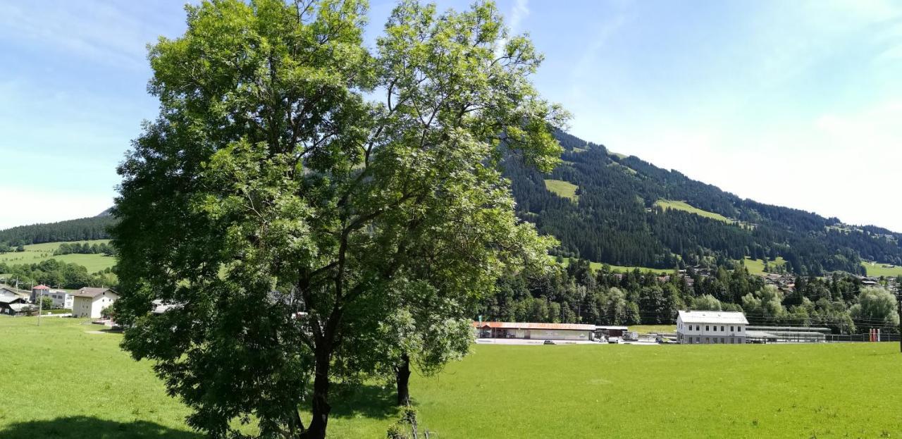Appartement Sonnentraum Westendorf Dış mekan fotoğraf